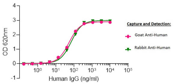 Human IgG capture and detection using Goat vs Rabbit host Polyclonal Secondary Antibodies