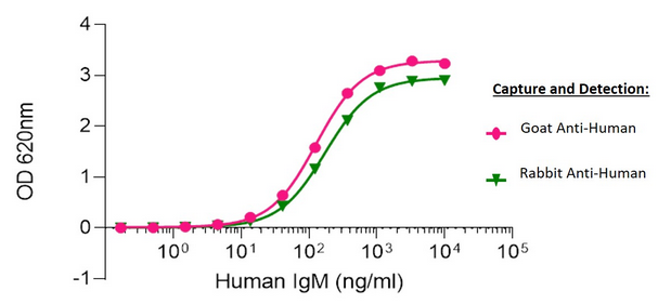 Human IgM capture and detection using Goat vs Rabbit host Polyclonal Secondary Antibodies