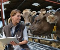 Routine Veterinary Testing of Livestock