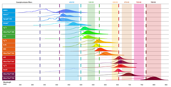 The excitation and emission spectra of a range of fluorescent probes.