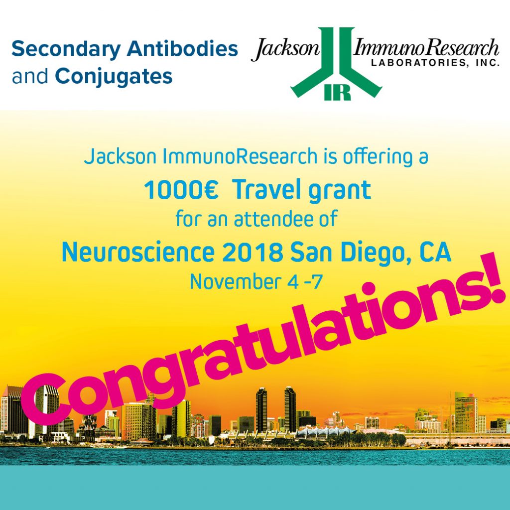 Travel Grant Winner