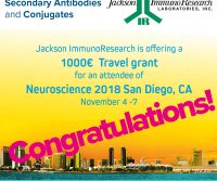 Travel Grant Winner